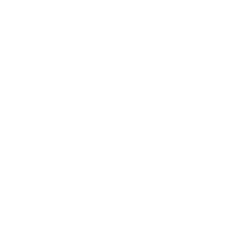 light logo